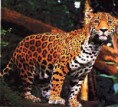 /album/fotogaleria/images-jpg/