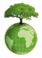 /album/fotogaleria/img-que-es-el-dia-mundial-del-medio-ambiente-y-como-celebrarlo-6940-orig-jpg/