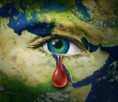 /album/fotogaleria/medio-ambiente-impactado-por-la-guerra-jpg/
