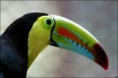 /album/fotogaleria/a1-jpg/